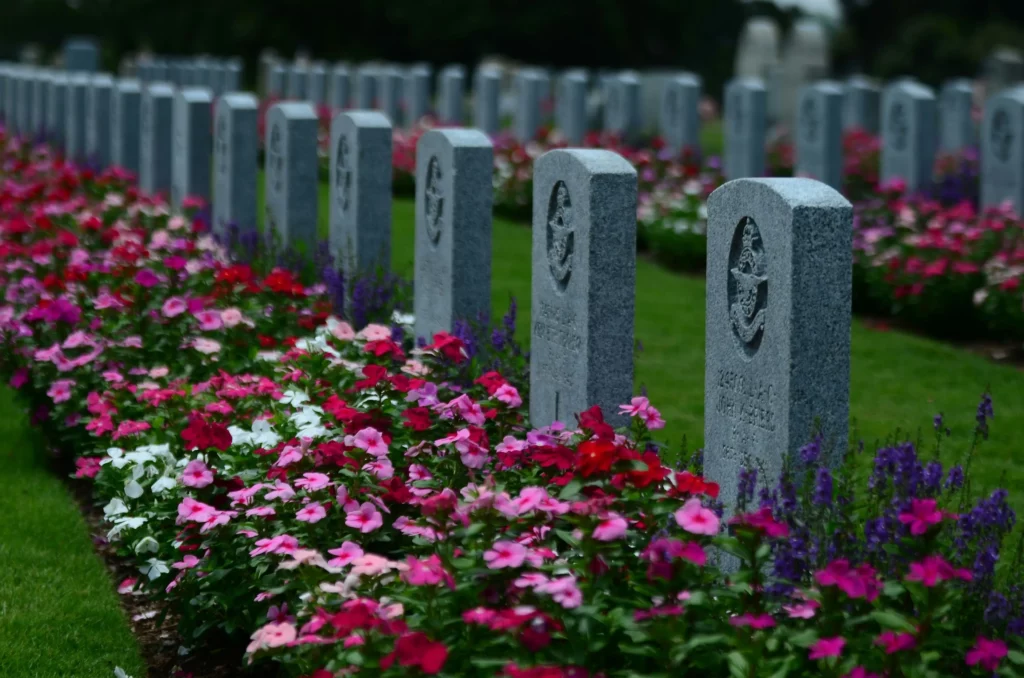 Alignement de stèles militaires en pierre entourées de fleurs colorées dans un cimetière.
